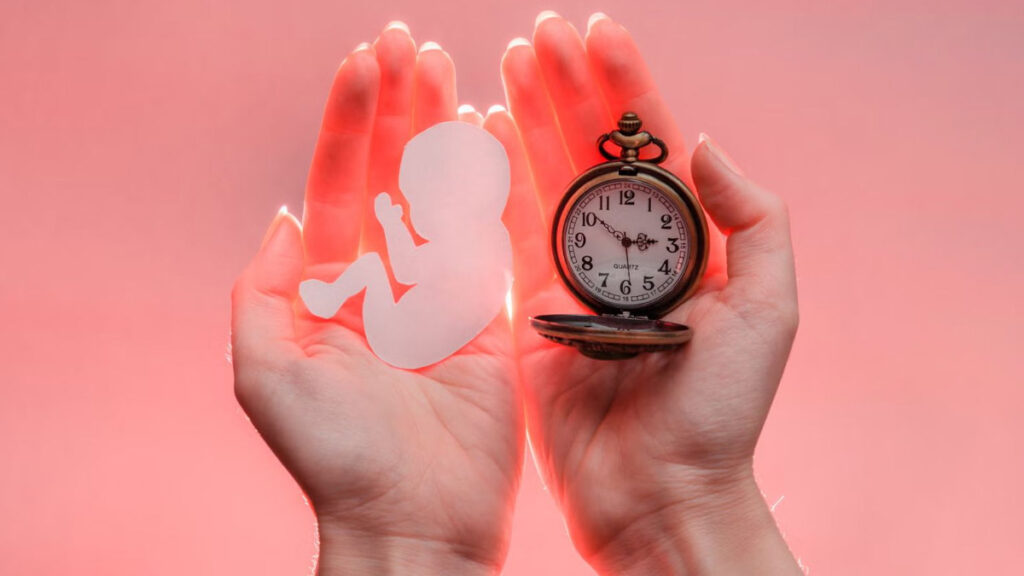 mn-fertility-1733310667839