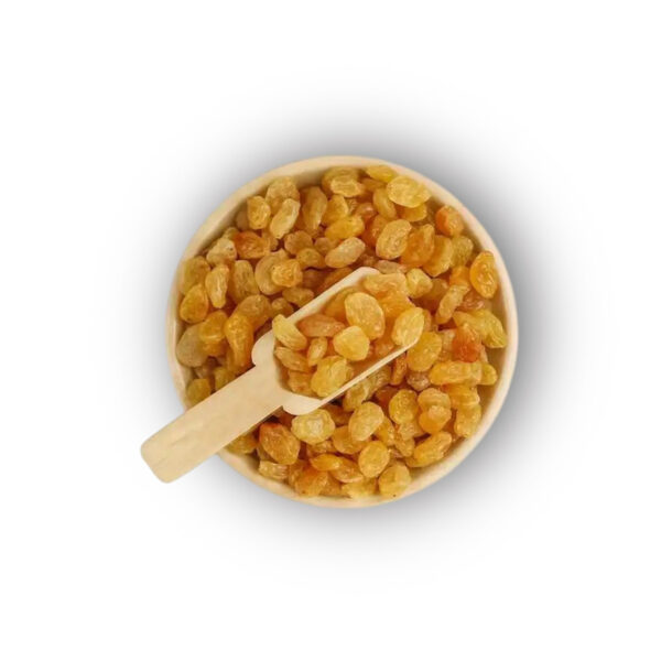 முந்திரி